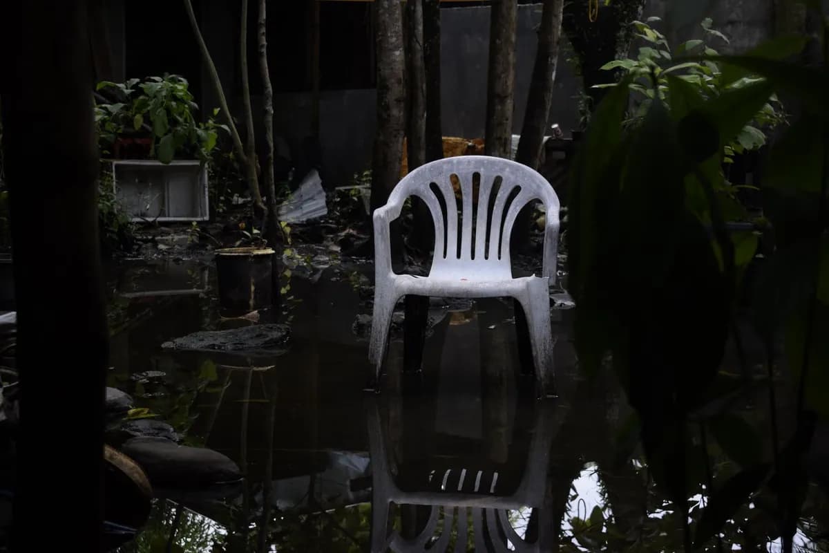Cómo recuperar tu jardín tras lluvias intensas e inundaciones