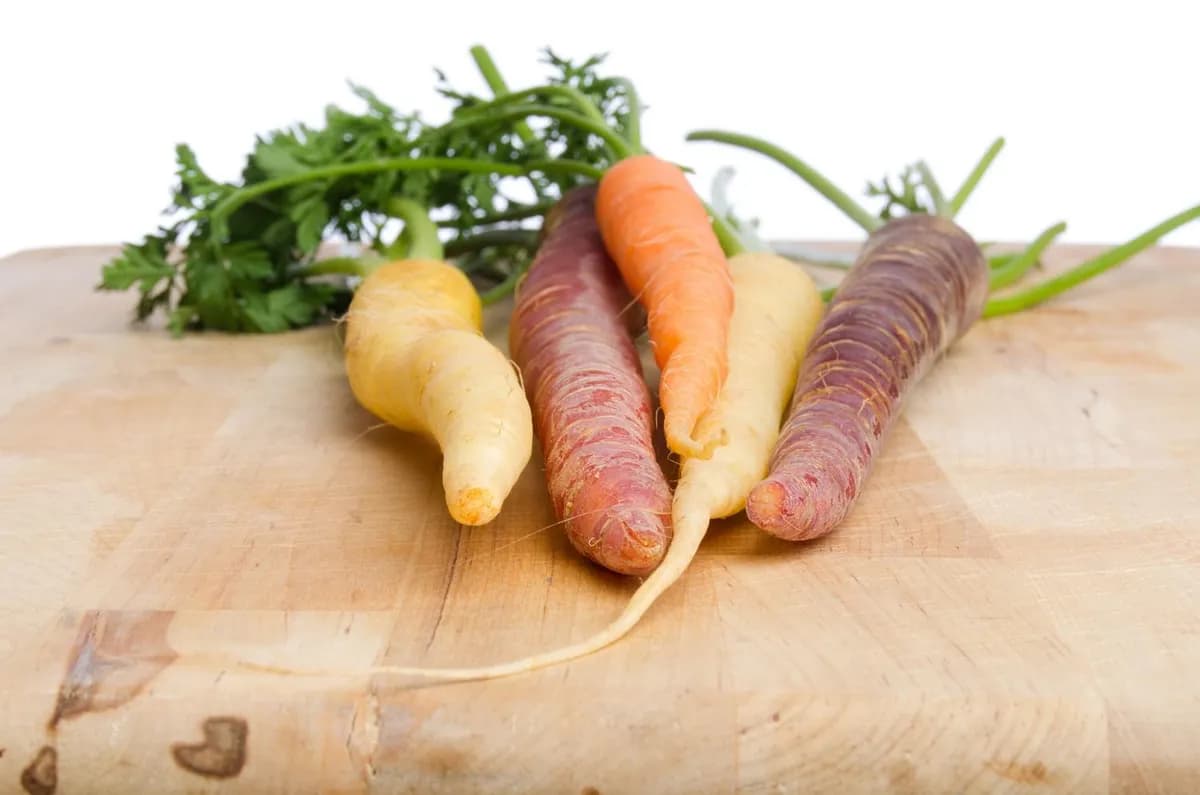 Cultivo de zanahorias de colores: variedades y consejos prácticos