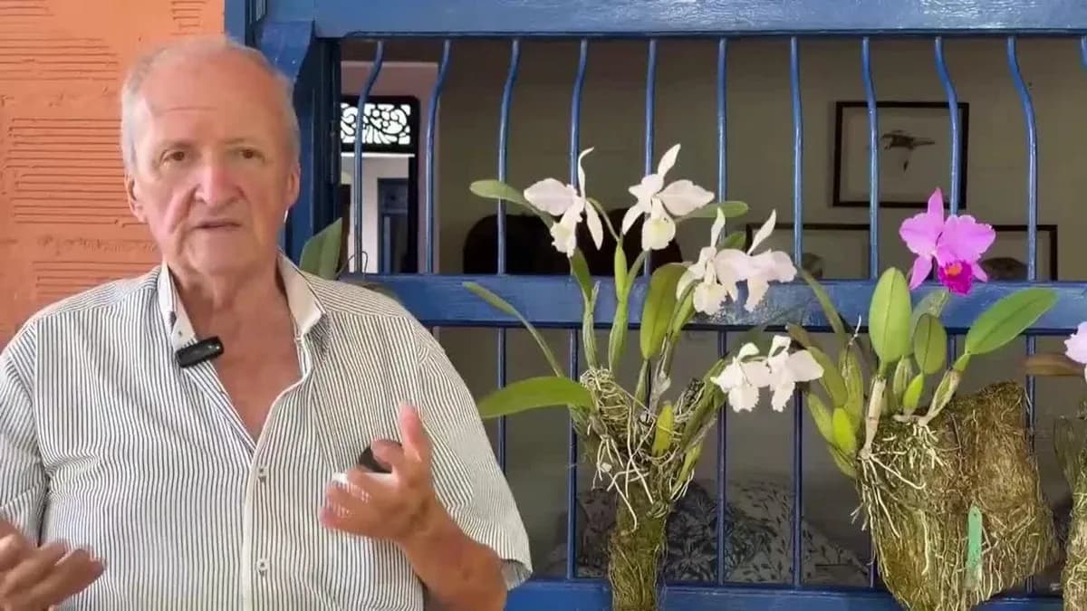 Amenazas a las orquídeas: conservación y comercio en España