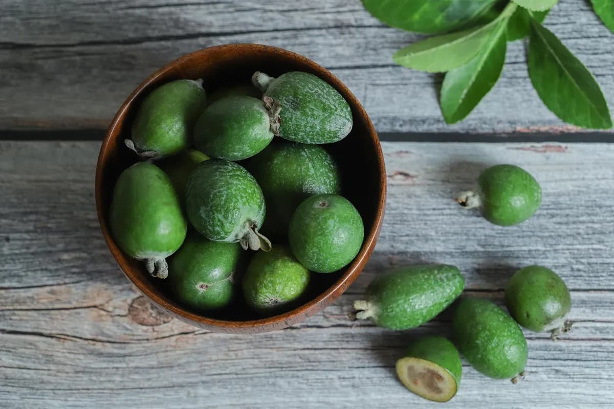 Guía para Cultivar Feijoa en España