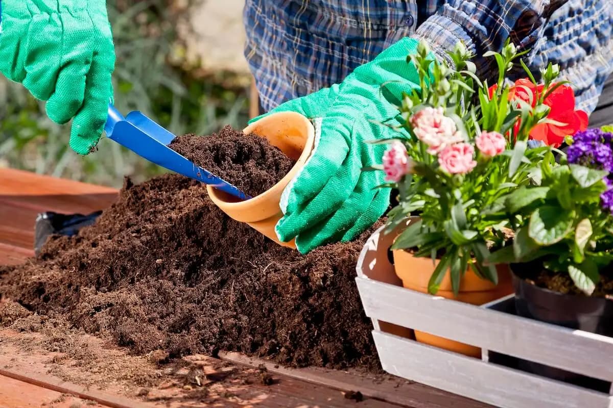 La importancia del sustrato para el desarrollo de plantas sanas