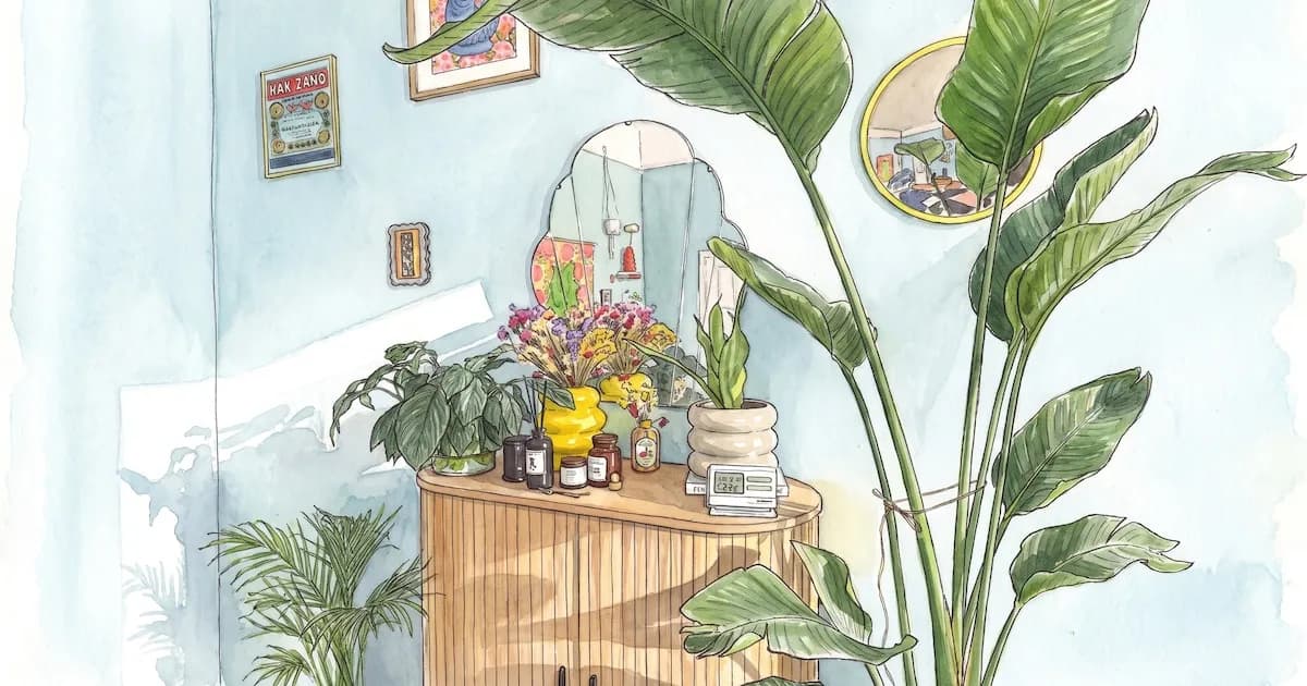 Acciones clave para el cuidado de plantas de interior en primavera