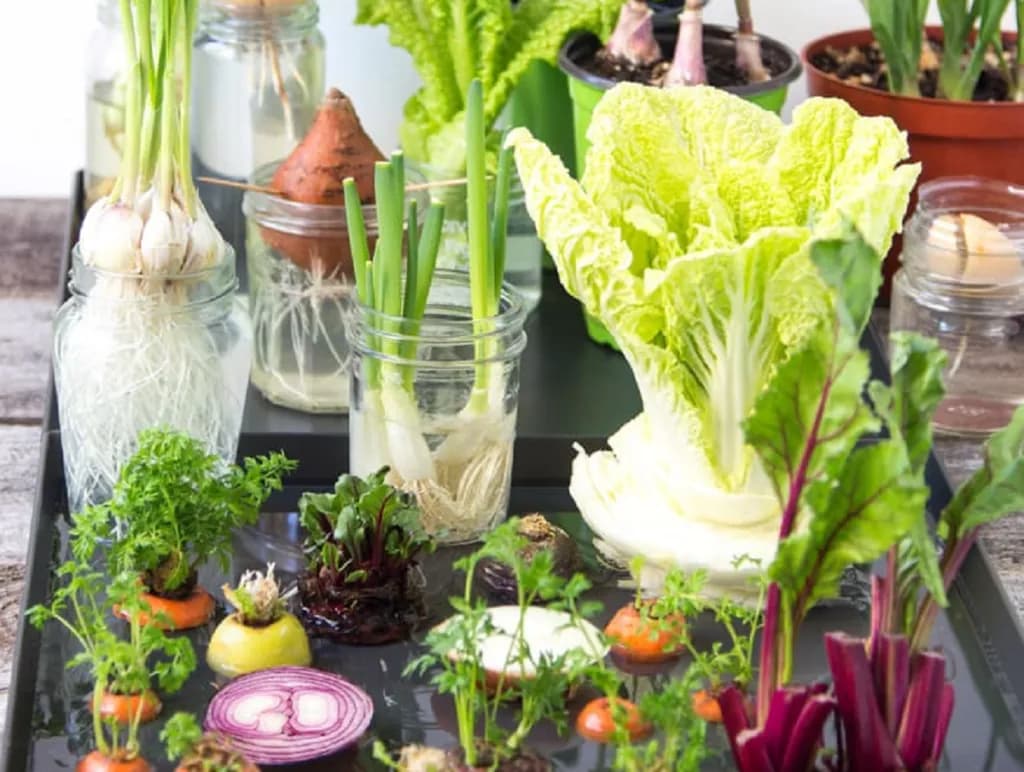 Cómo cultivar verduras y frutas a partir de restos de cocina