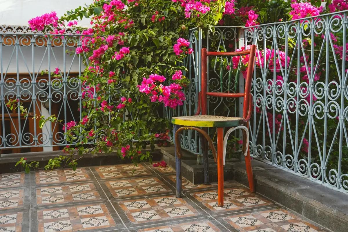 Plantas ideales para terrazas soleadas y climas cálidos
