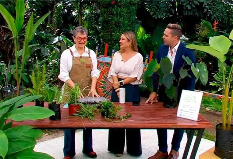 Cinco plantas para un jardín más frondoso
