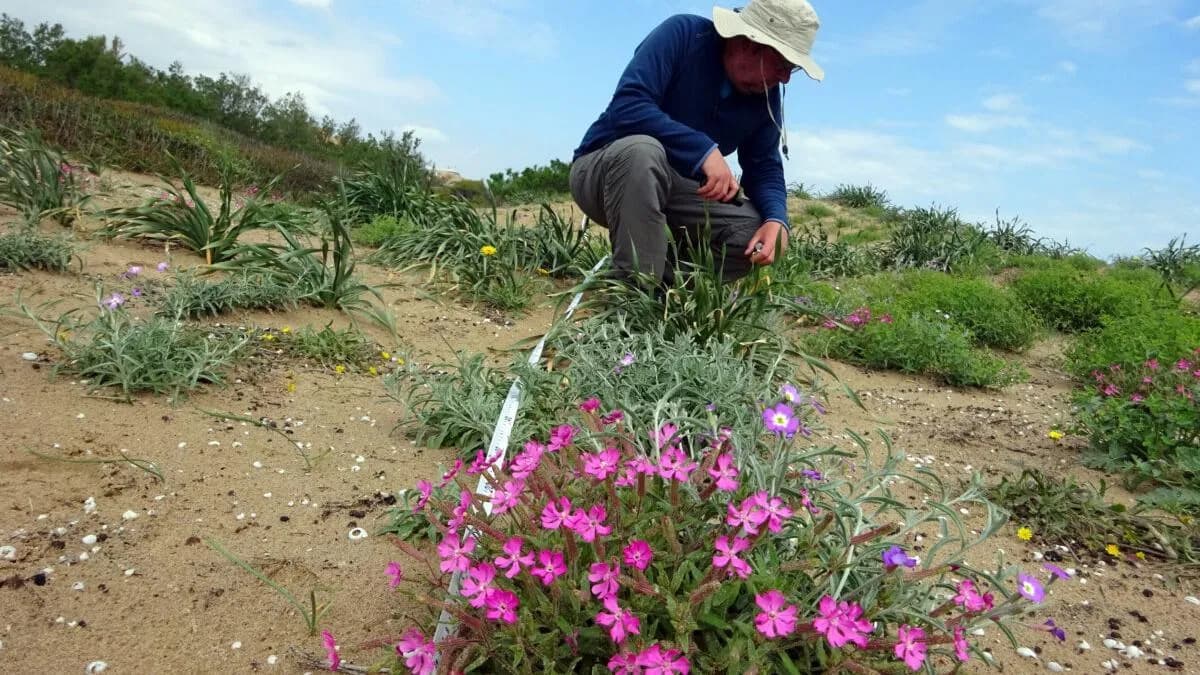 Descubrimiento de 80 nuevas especies de plantas por botánicos españoles
